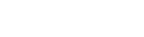 Doverhouse Lions FC Logo